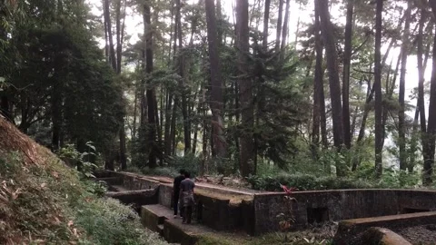People Walking Through a Pine Forest in Mount Kunci, Sumedang, Indonesia. Видео 344054595