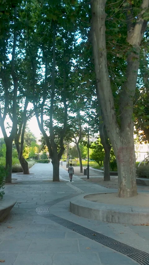People Walking Through Shady Tree Lined Public Park In Madrid Spain Stock Footage 345450875