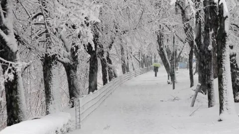 People Walking Through Snowfall on a Winter Day in Sarajevo Stock Footage 340265452
