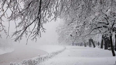 People Walking Through Snowfall on a Winter Day in Sarajevo Видео 340265483