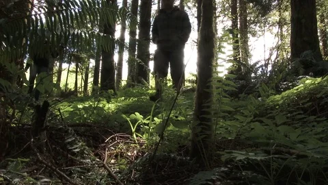 People Walking Through Sunny Forest Stock Footage 75967947