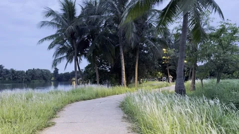 People Walking Through A Tropical Evening In Ecopark Stock Footage 335691741