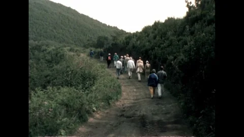 People Walking on Trail Video stock 278240546