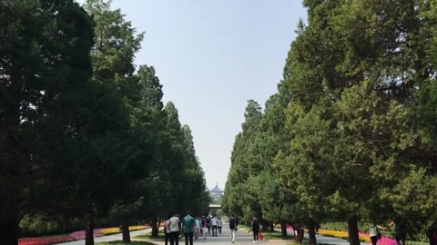 People walking on a tree-lined avenue toward the Temple of Heaven in Beijing Vídeos de archivo 341401219