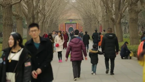 People Walking on Tree-Lined Avenue Toward Temple Gate in Beijing Lama Temple Stock Footage 345828485