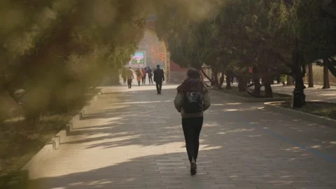 People Walking on Tree-Lined Pathway in Beijing Park Near Temple of Heaven Stock Footage 345832512