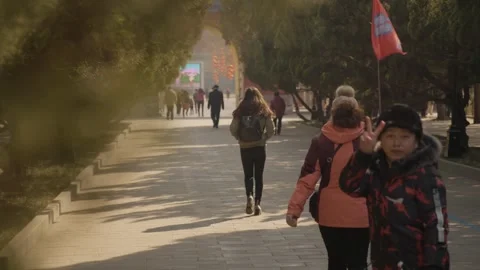 People Walking on Tree-Lined Pathway at Temple of Heaven Park in Beijing, China Stock Footage 345832531