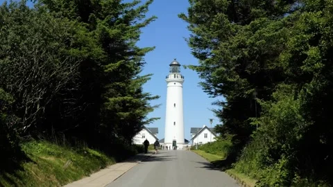 People walking on tree lined road to lighthouse Stock-Footage 338328838