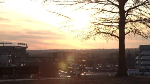 People walking tree Sunset 스톡 동영상 75052061