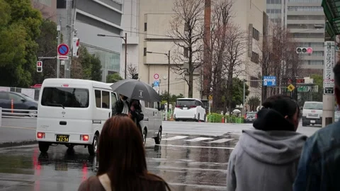 People Walking With Umbrellas During Rainstorm in Tokyo Area Stock Footage 335102948