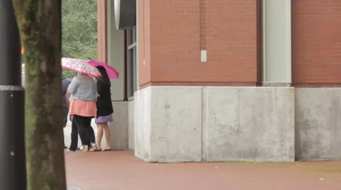 People Walking With Umbrellas Stock-Footage 52138659