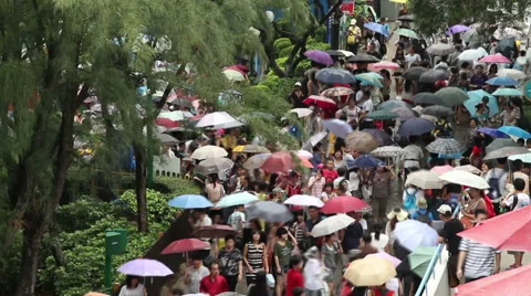 People walking with umbrellas Stock Footage 55698372