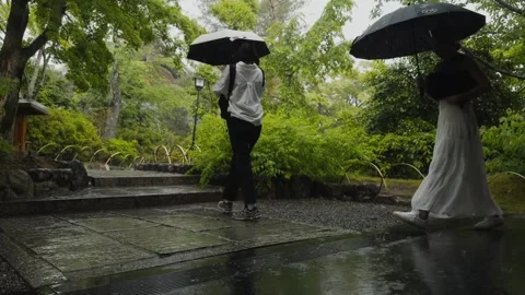 People Walking With Umbrellas Through Rainy Japanese Garden Path in Slow Motion Stock Footage 339059526