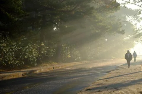 People walking under rays of the sun Stock Photos