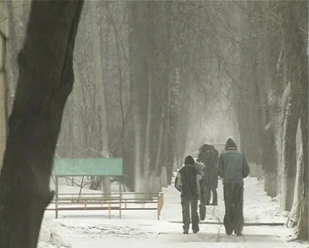 People walking under snowfall Stock Footage 2307020
