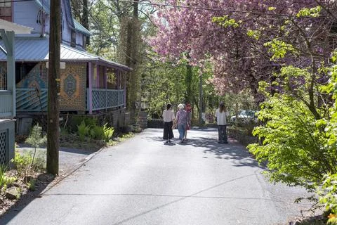 People Walking Under Spring Cherry Blossoms in Mount Gretna PA Stock Photos