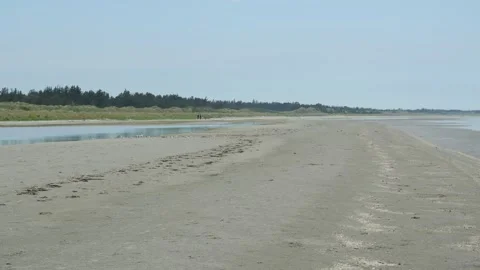 People walking on a vast sandy beach at low tide Stock Footage 338066567