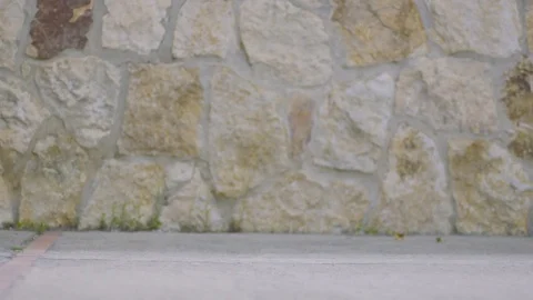 People Walking Wall Stock Footage 71798602