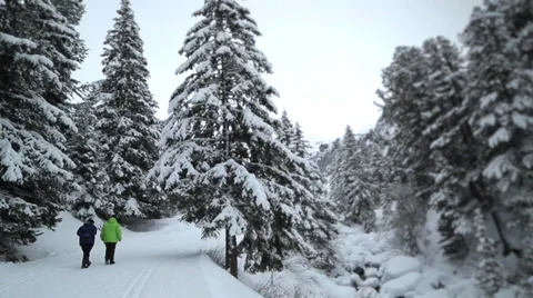 People walking in winter Stock Footage 36963598