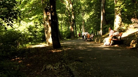 People Walking Woods Vídeo Stock 8508710