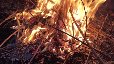 People warming their hands and feet over a glowing campfire. Vídeos de archivo 326651322