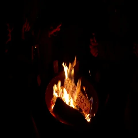 People warming their hands on fire during winter at night Video stock 69553335