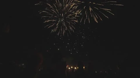People watch colorful fireworks exploding in the night sky. Stock Footage 157715558
