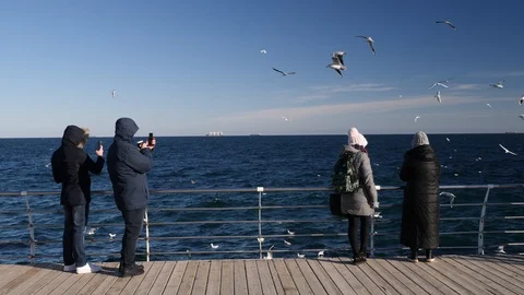 People watching and feeding seagulls at pier on winter sunny day Stock Footage 102403143