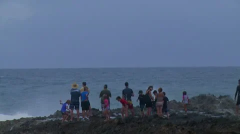People Watching Large Surf Stock Footage 10593471