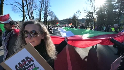 People wave a flag of Palestine during a demo Vídeo Stock 262425400