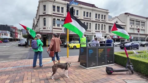 People wave Palestinian flags during a peaceful demonstration Stock Footage 326981100