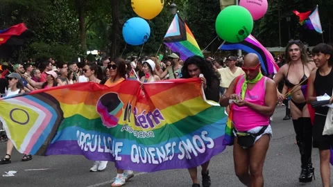 People Waving Rainbow Flags and Banners with text Stock Footage 339196139