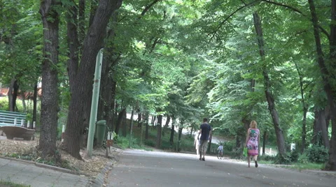 People in weekend days walking on alley inside green park summer scene in nature Stock Footage