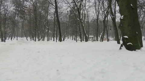 People in winter park Stock Footage 118459838