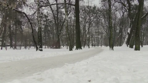 People in winter park Video stock 118459942