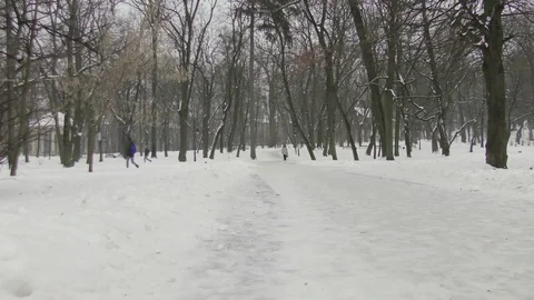 People in winter park Stock Footage 118459950