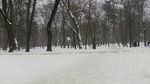 People in winter park Stock Footage 118460042