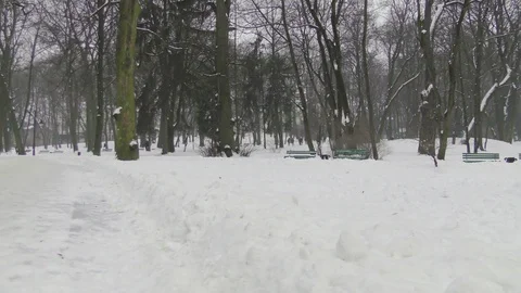 People in winter park Stock Footage 118460695
