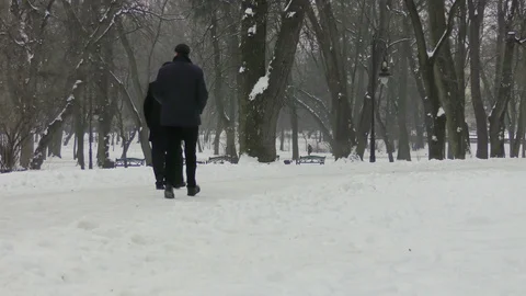 People in winter park Stock Footage 118460734