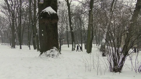 People in winter park Stock Footage 118460899