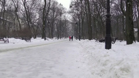 People in winter park Stock Footage 118460971