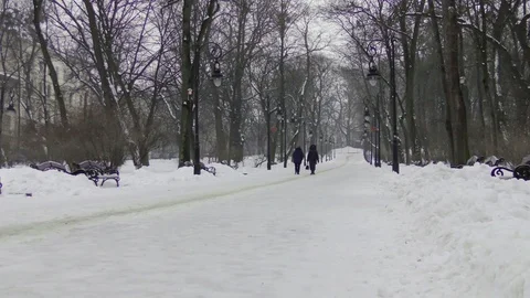 People in winter park Stock Footage 118460977