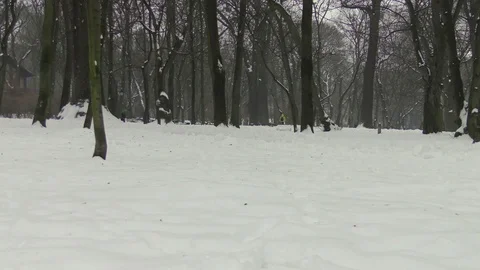 People in winter park Stock Footage 118461045
