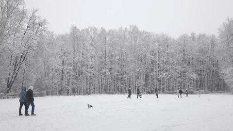 People in a winter public park Stock Footage 122703538