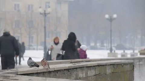 People in the winter on the waterfront Stock Footage 102918733