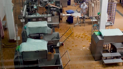 People work in the conveer industry. Stock Footage 138522250