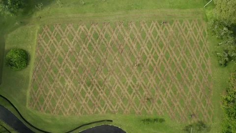 People work in the fields of Bali, landscape design, view from the air Stock-Footage 134648406