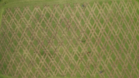 People work in the fields of Bali, landscape design, view from the air Stock Footage 134716376