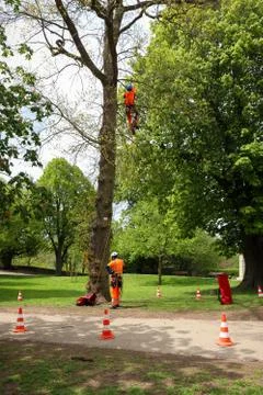 People at work in a garden Stock Photos