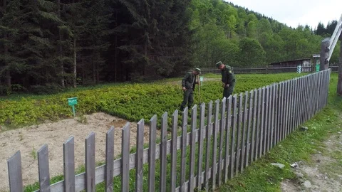 People work on seedlings of coniferous trees Video stock 99149021